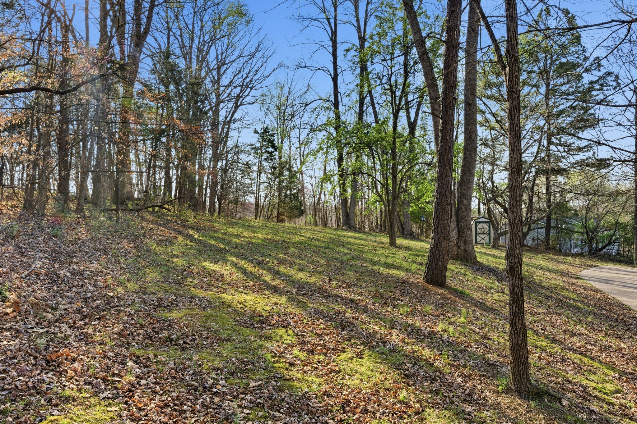 8073 Ridgewood Road Goodlettsville TN 37072
