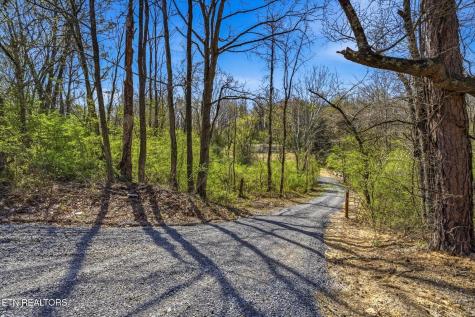 1019 S Gateway Avenue Rockwood TN 37854
