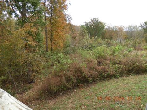 155 Poling Drive Pulaski TN 38478