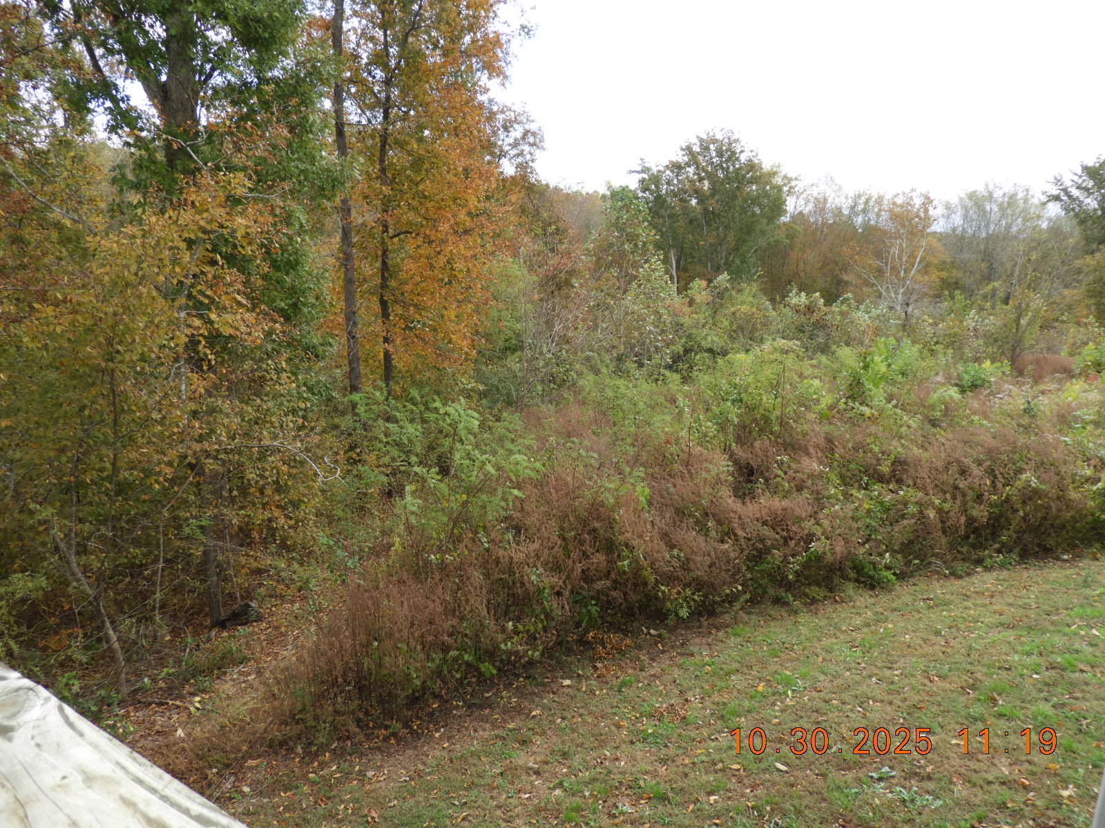 155 Poling Drive Pulaski TN 38478