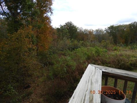 155 Poling Drive Pulaski TN 38478