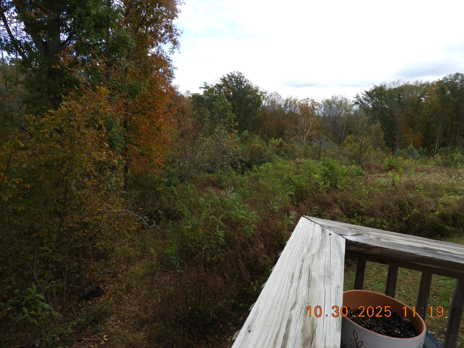 155 Poling Drive Pulaski TN 38478