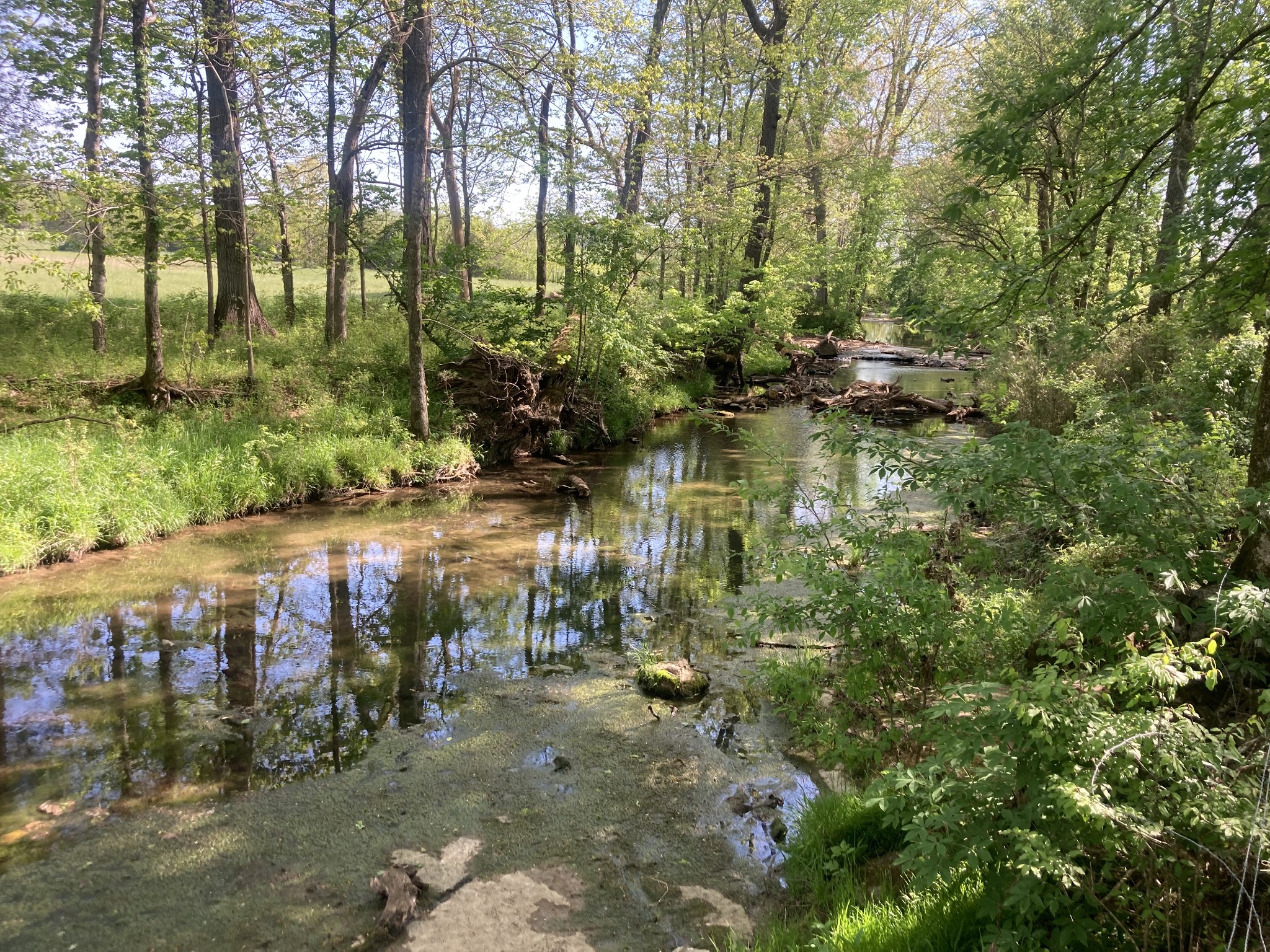 0 Bostic Road Nolensville TN 37135