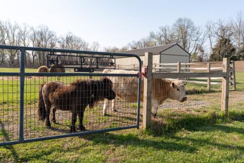 514 Corinth Road Portland TN 37148