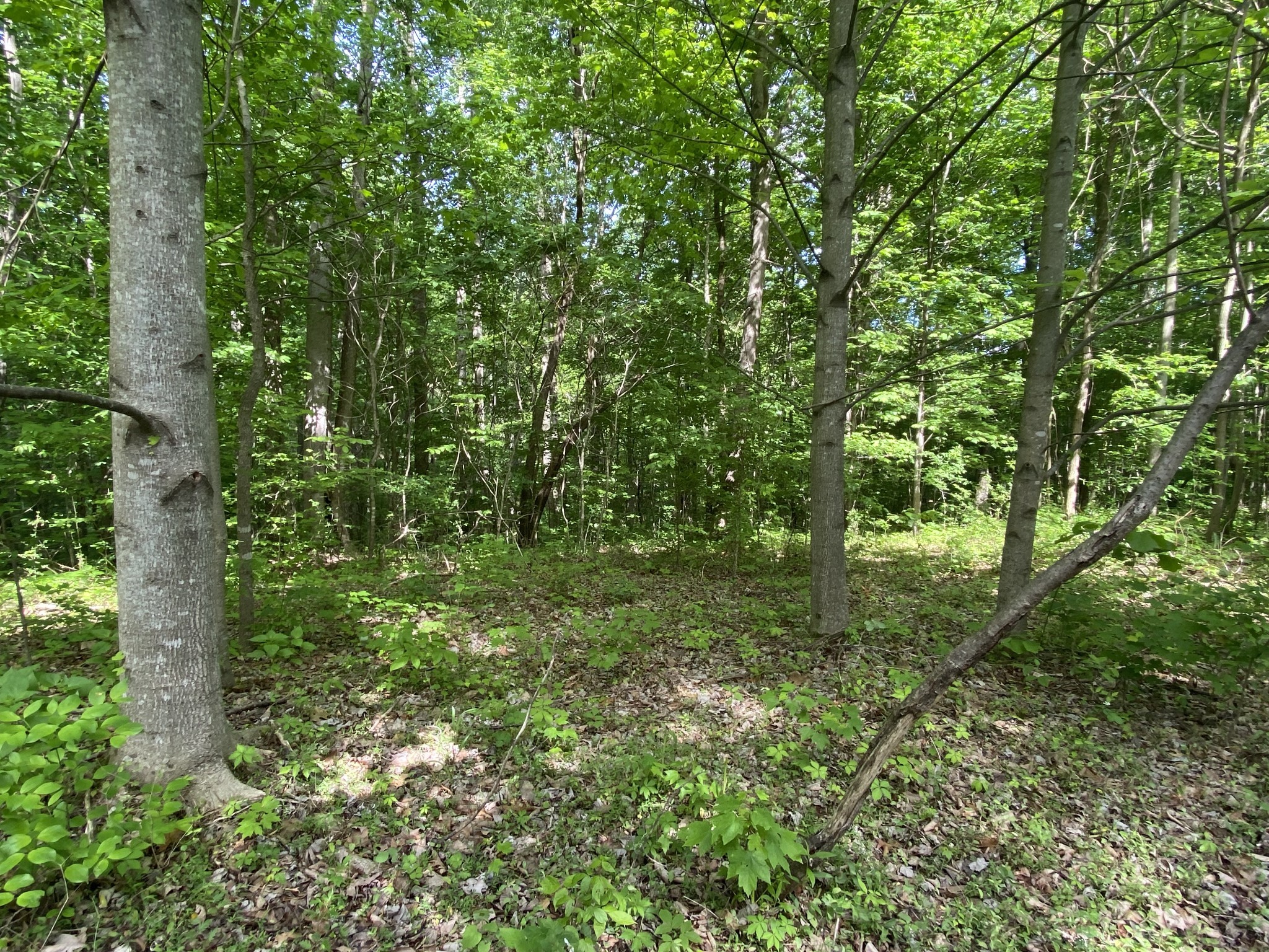 297 Tennis Center Drive Smithville TN 37166