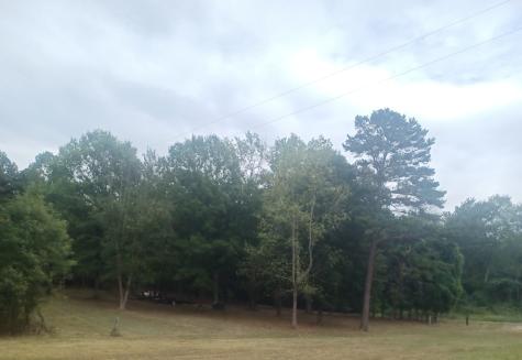 567 Rawls Road Paris TN 38242