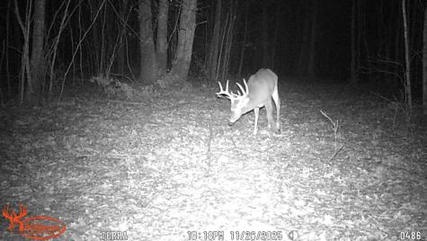 0 Old Shook Belvidere TN 37306
