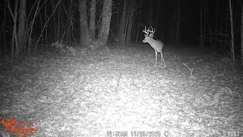 0 Old Shook Belvidere TN 37306