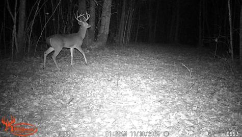 0 Old Shook Belvidere TN 37306