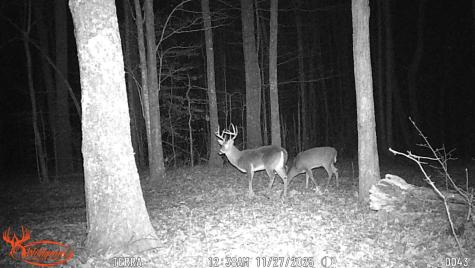 0 Old Shook Belvidere TN 37306