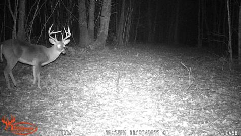 0 Old Shook Belvidere TN 37306