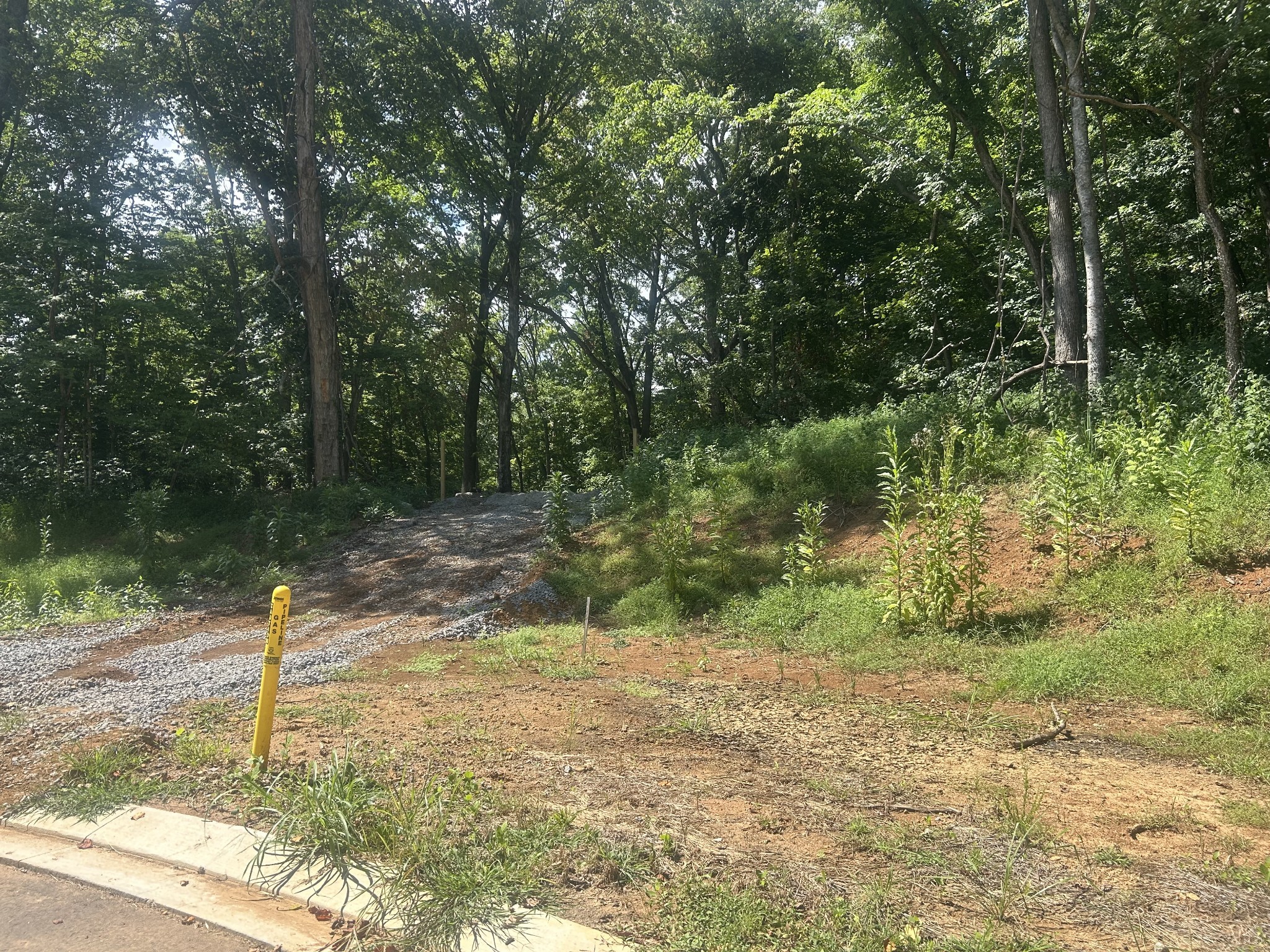 5732 Nola Drive Arrington TN 37014