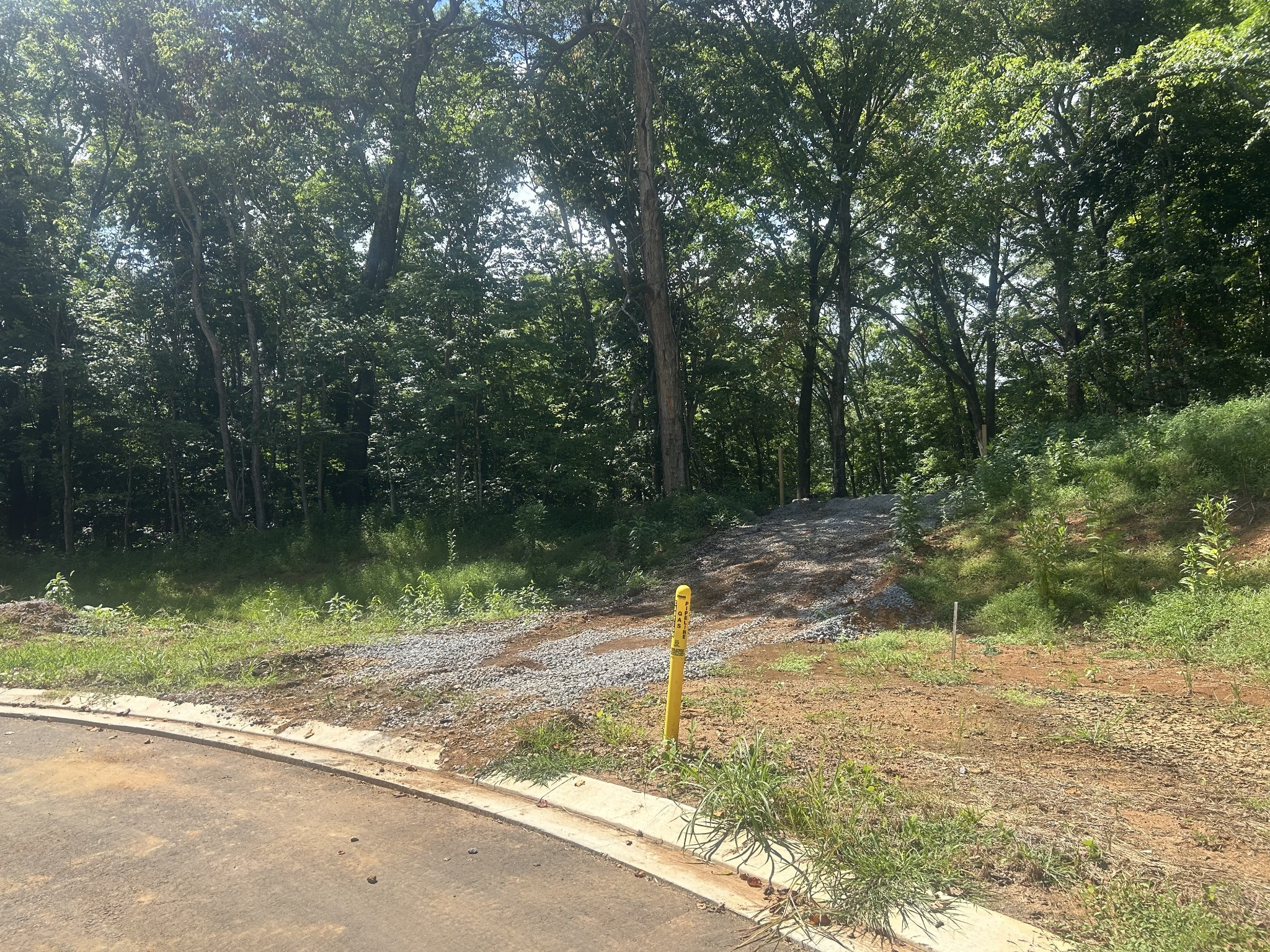 5732 Nola Drive Arrington TN 37014
