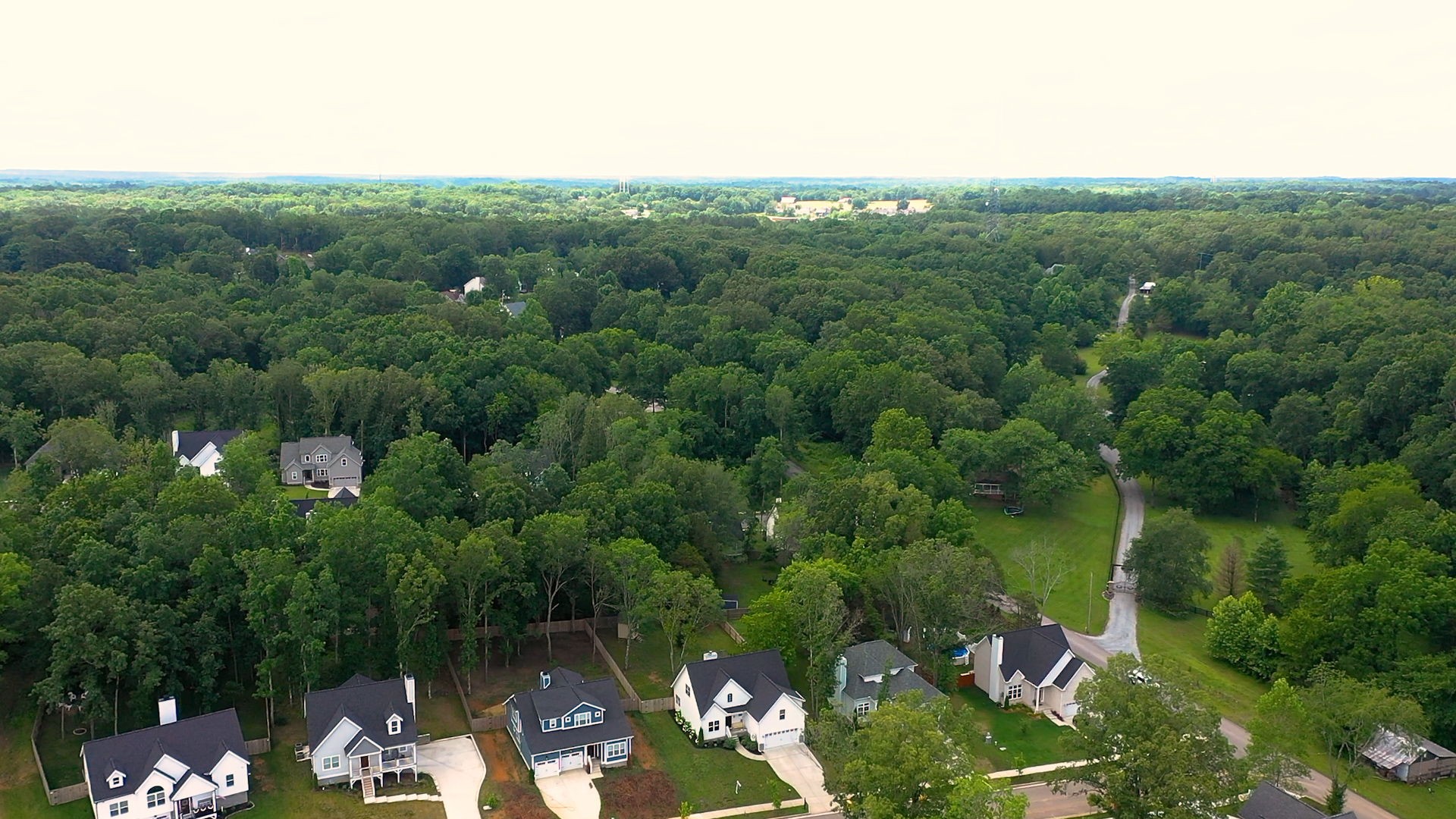 7146 Pepper Tree Circle Fairview TN 37062