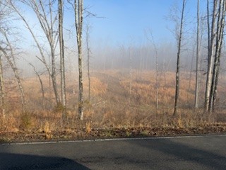 0 Jones Creek Road White Bluff TN 37187