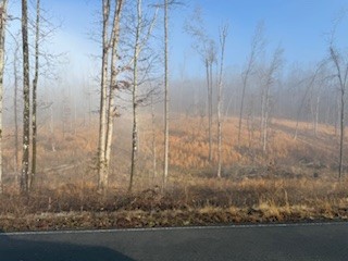 0 Jones Creek Road White Bluff TN 37187