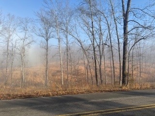 0 Jones Creek Road White Bluff TN 37187