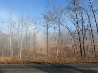 0 Jones Creek Road White Bluff TN 37187