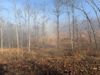 0 Jones Creek Road White Bluff TN 37187