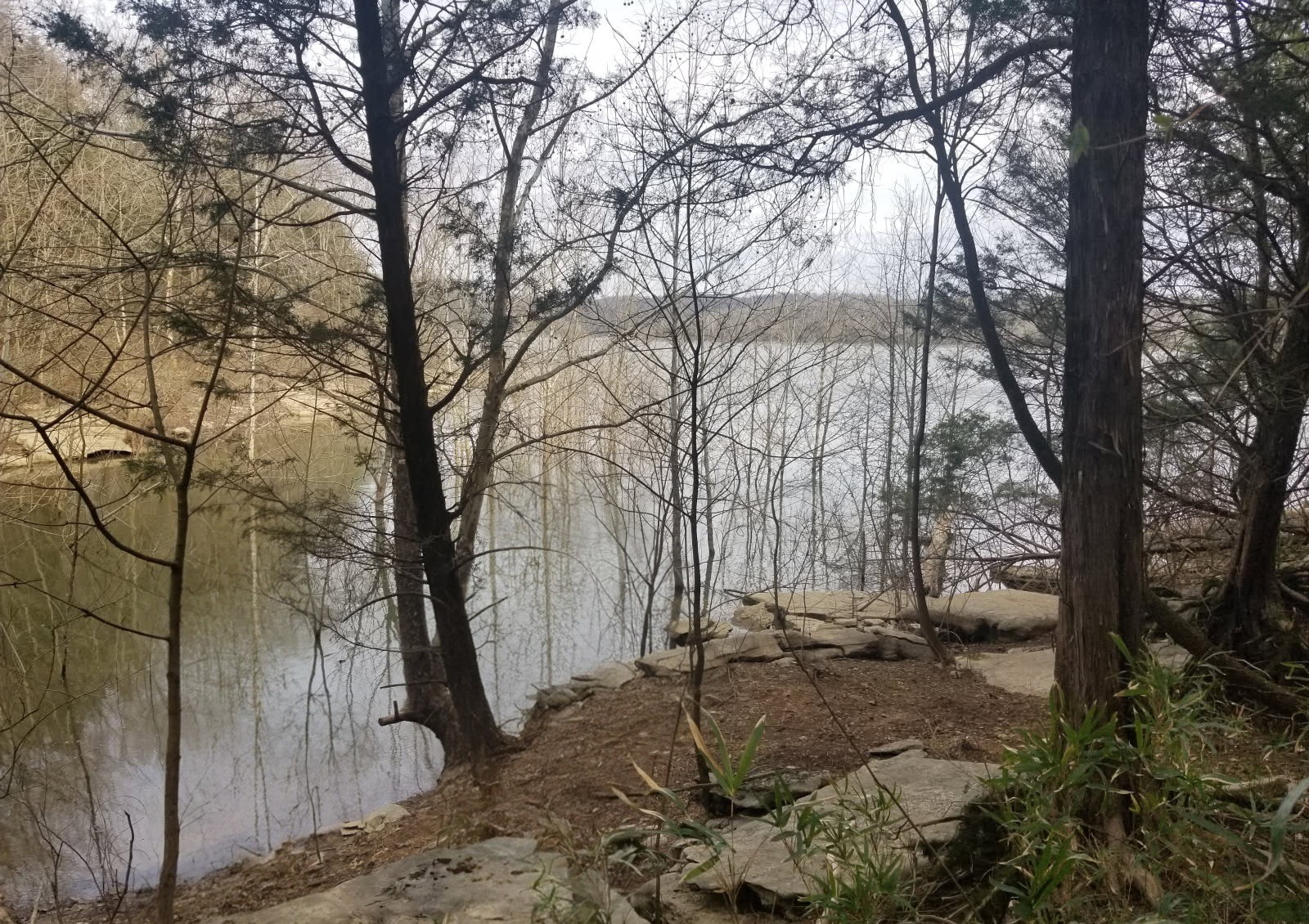193 Wilson Circle Smithville TN 37166