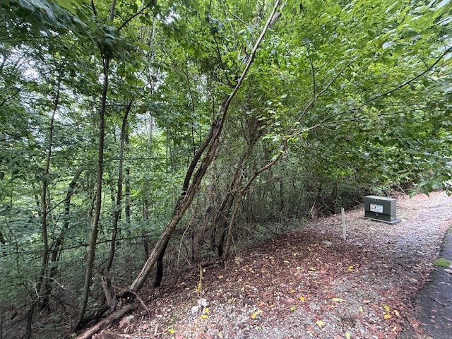 154 Center Hill Shores Drive Smithville TN 37166