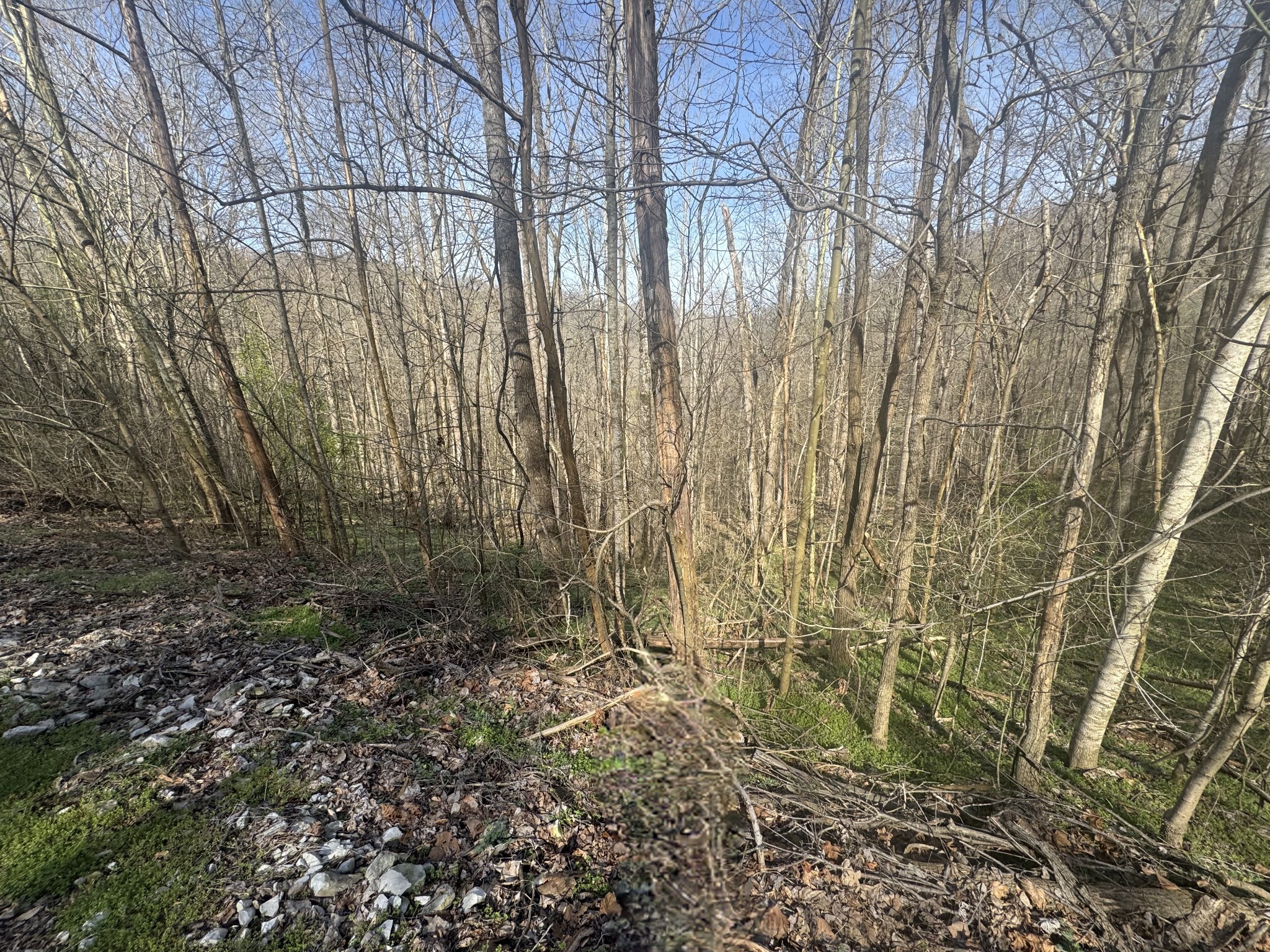 154 Center Hill Shores Drive Smithville TN 37166