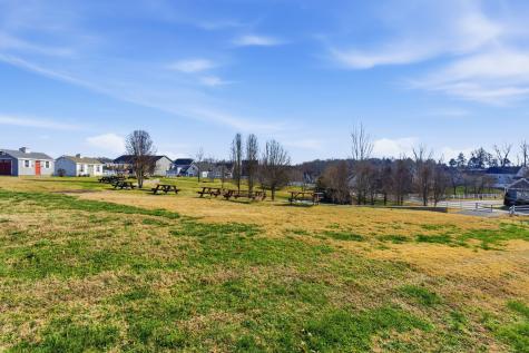 315 Augusta Avenue Pleasant View TN 37146