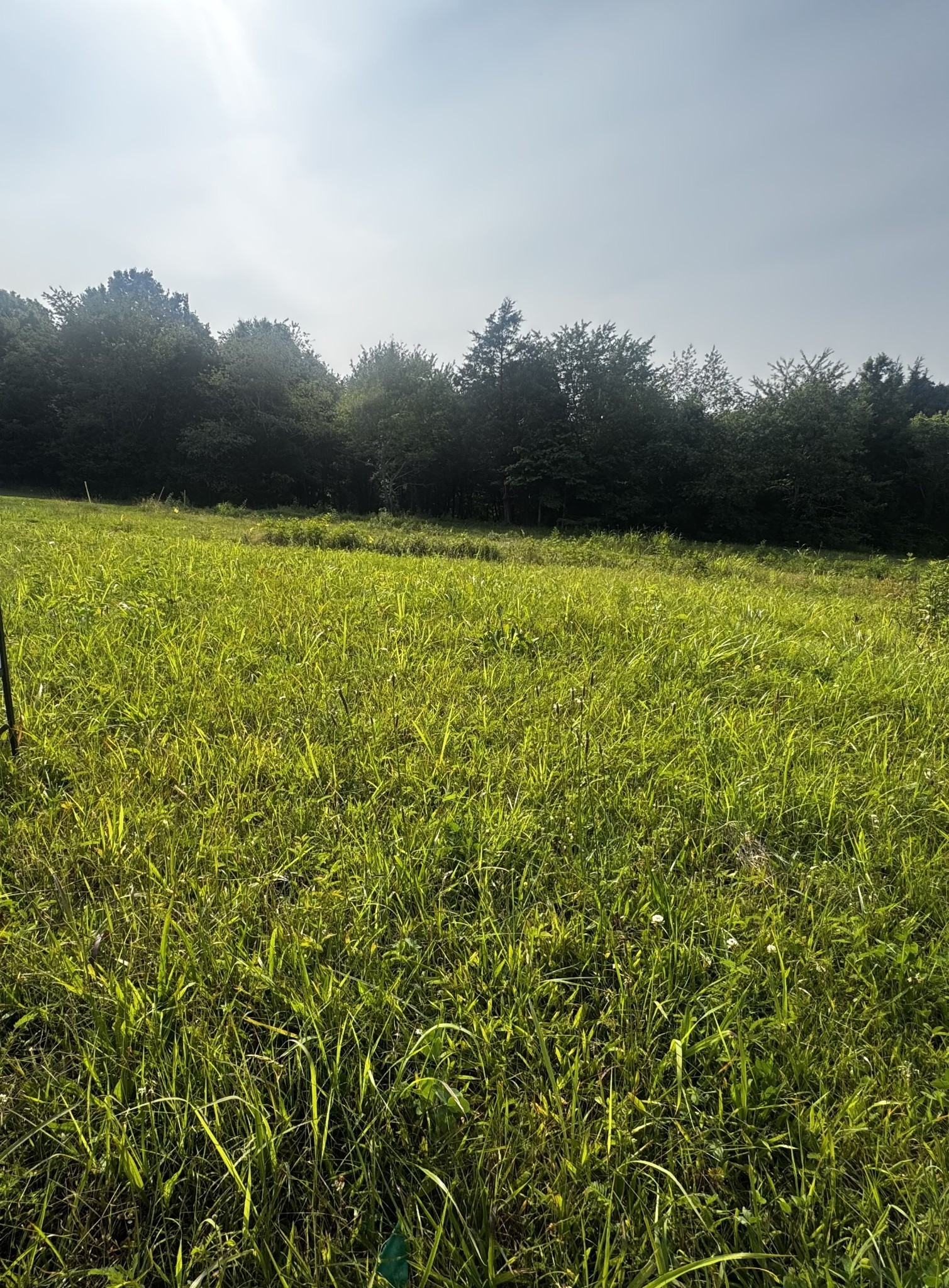 6481 Kelly Willis Road Greenbrier TN 37073