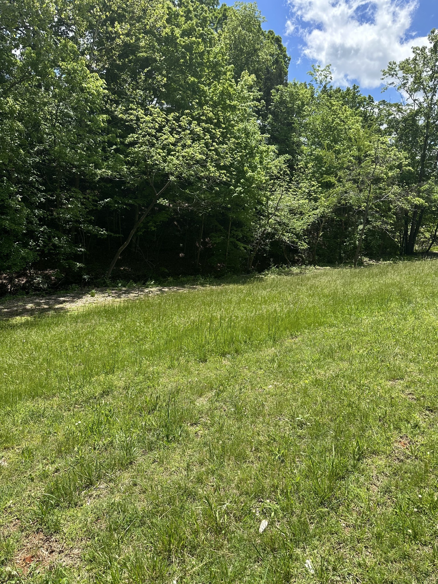 6481 Kelly Willis Road Greenbrier TN 37073