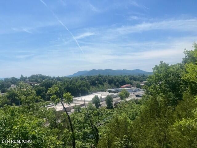 425 Cliffwood Drive Newport TN 37821