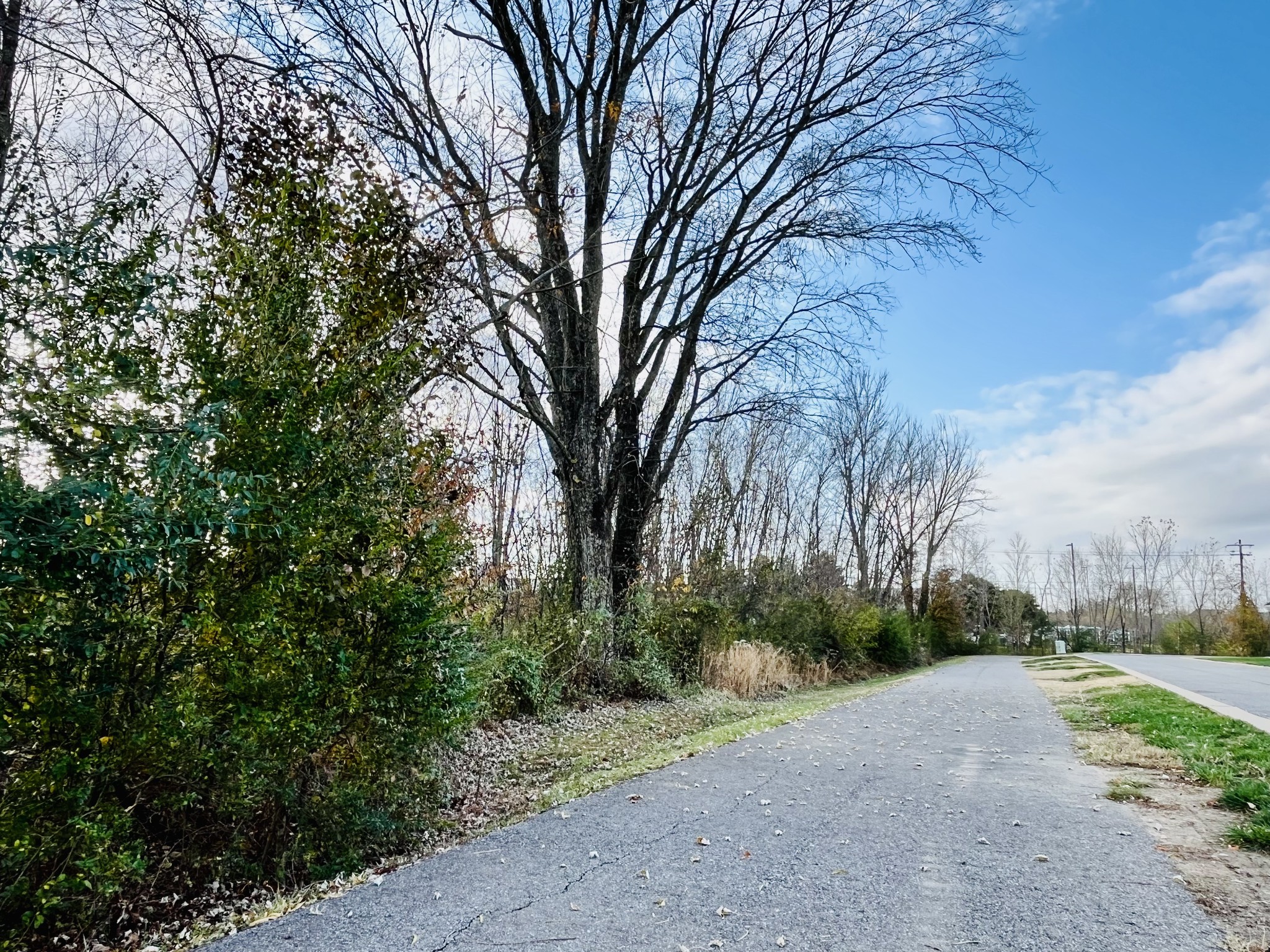 203B Folsom Pass Spring Hill TN 37174