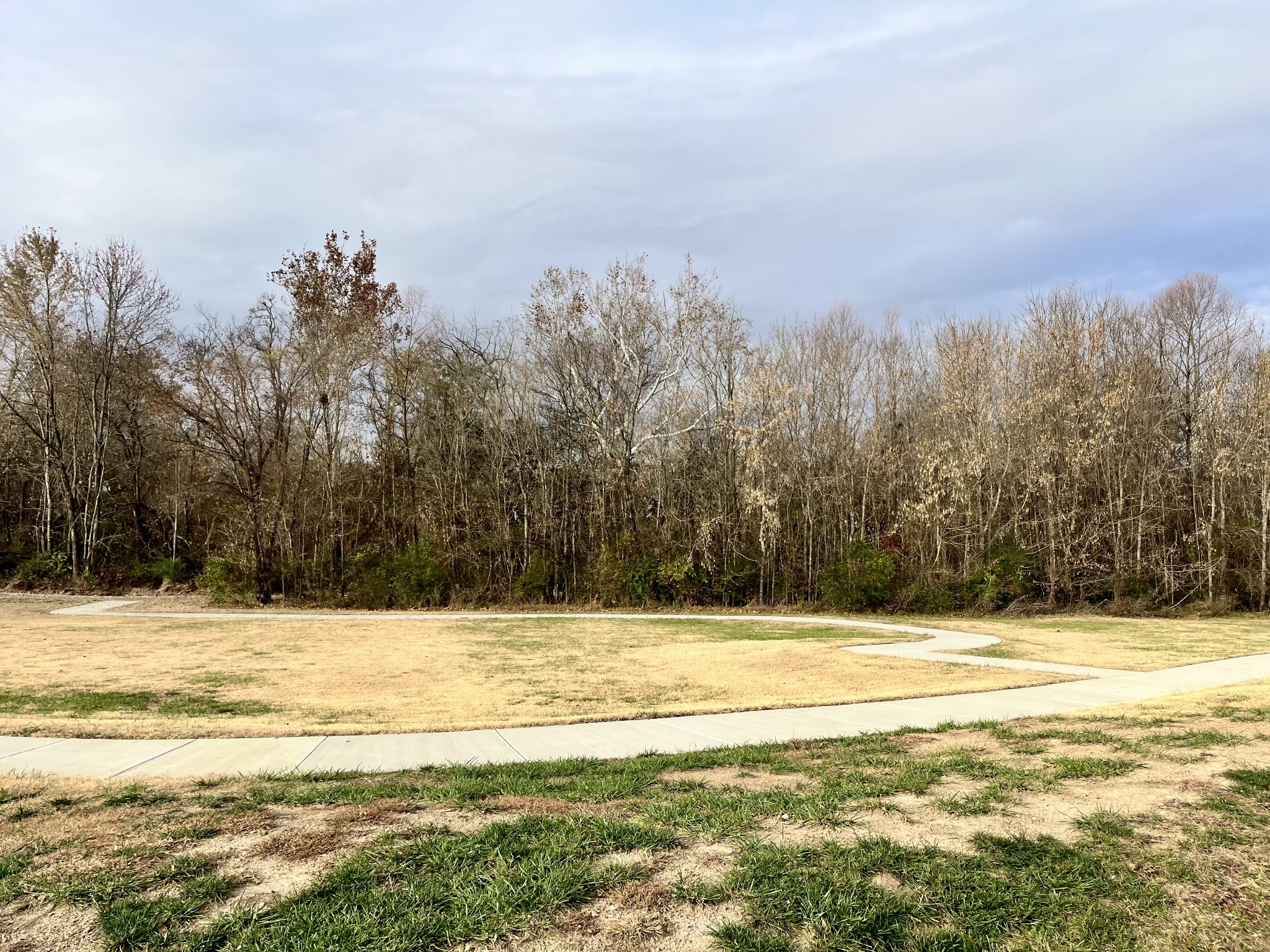 203B Folsom Pass Spring Hill TN 37174