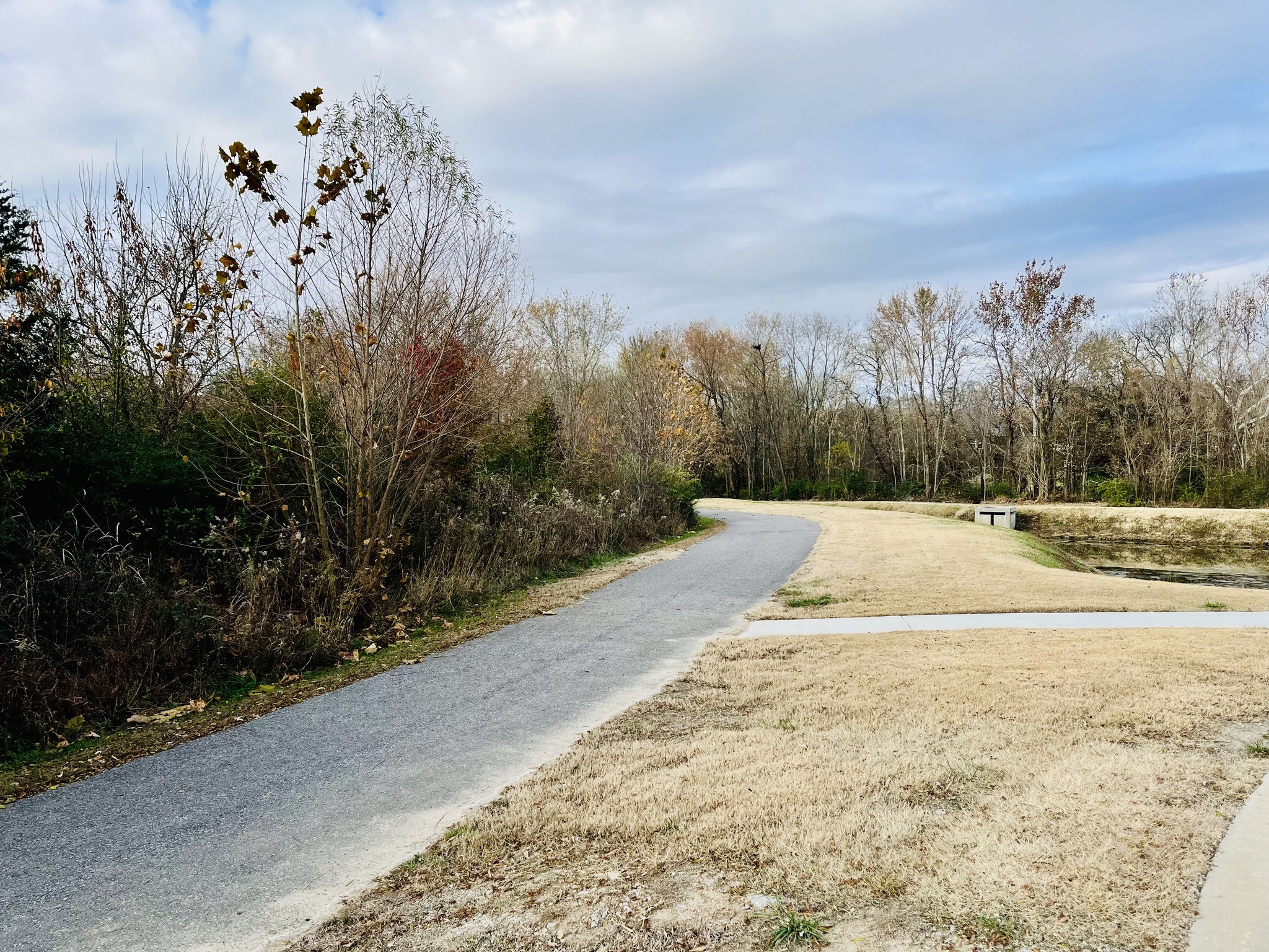 203B Folsom Pass Spring Hill TN 37174