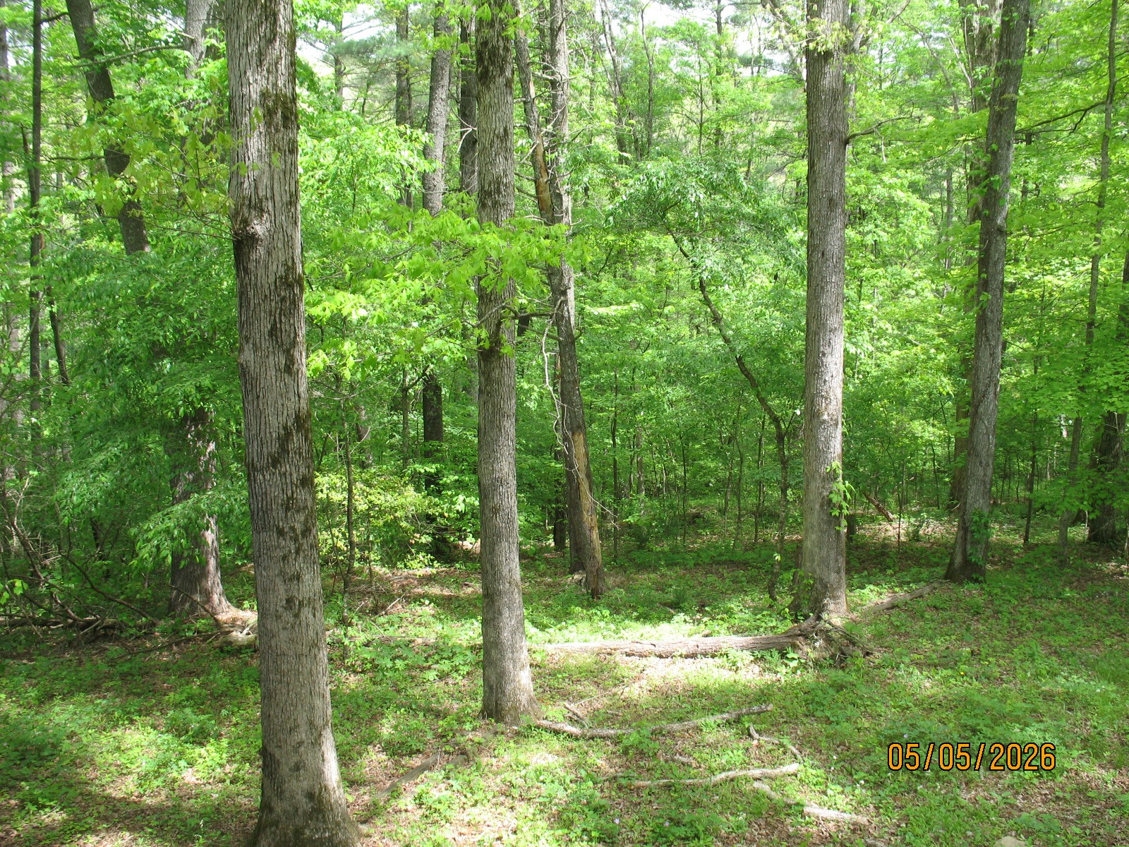 1555 Brown Creek Drive Crossville TN 38571