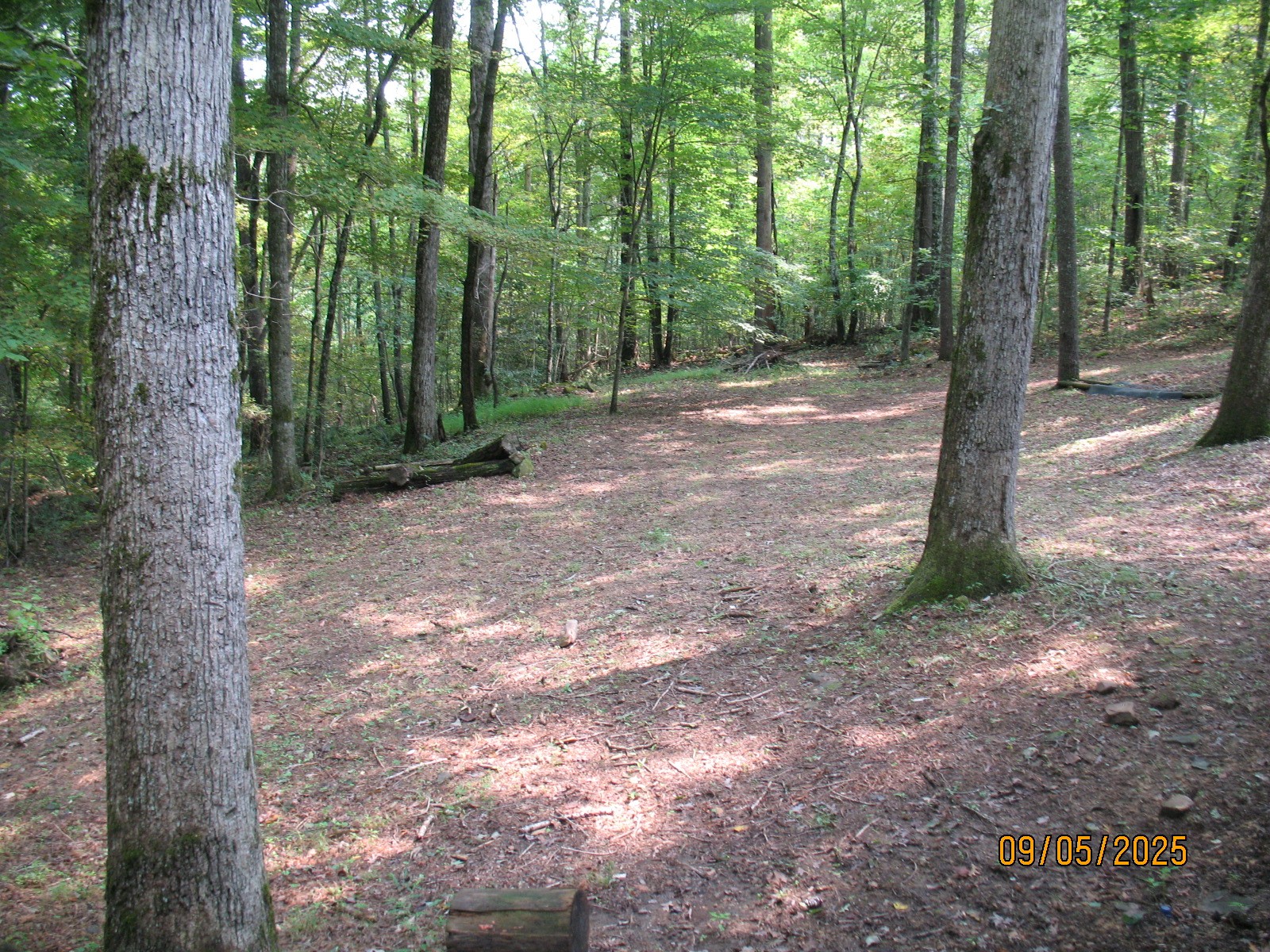 1555 Brown Creek Drive Crossville TN 38571