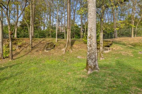 1018 Buddleia Lane Franklin TN 37067