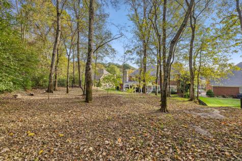 1018 Buddleia Lane Franklin TN 37067