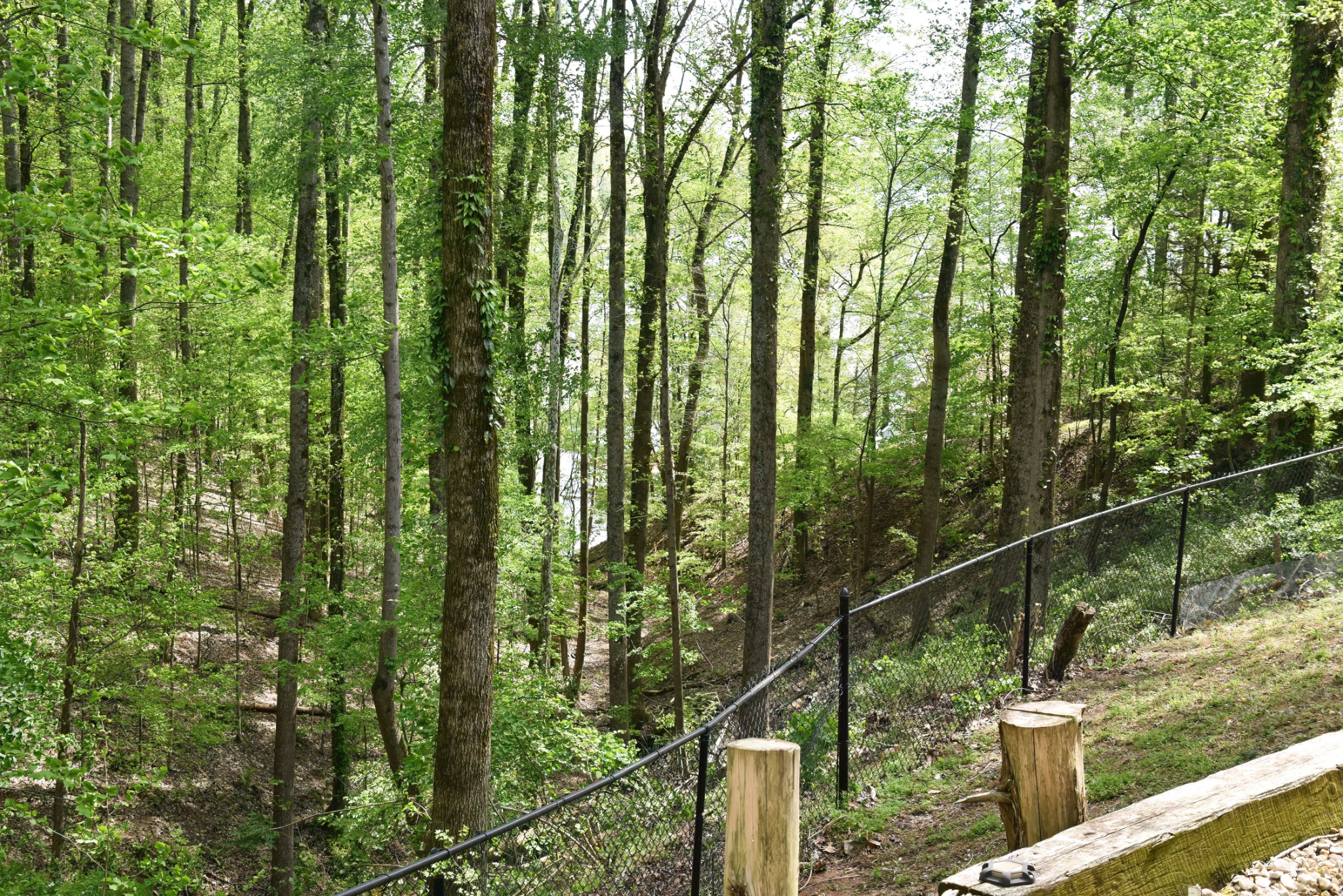 105 W Paradise Drive Winchester TN 37398