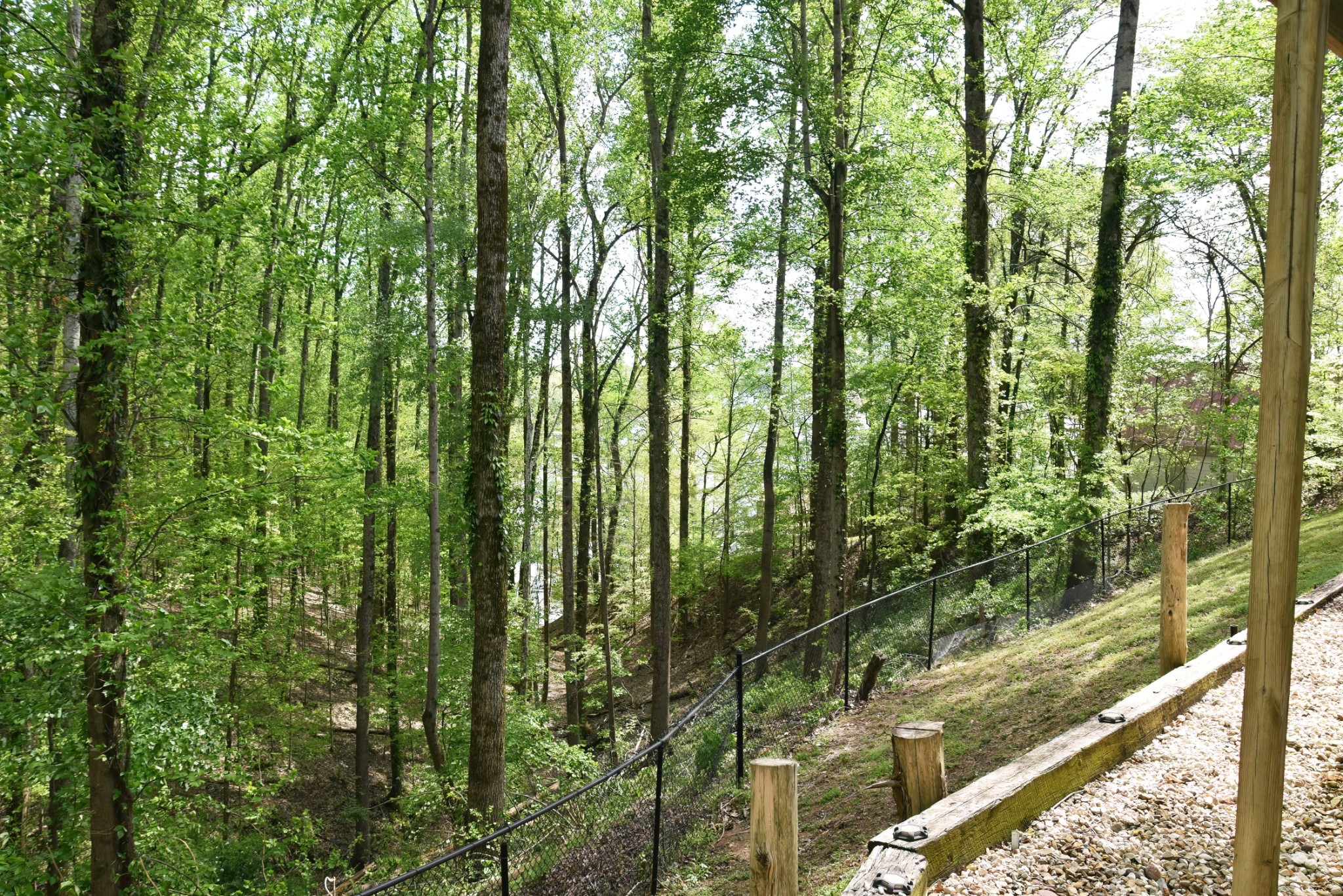 105 W Paradise Drive Winchester TN 37398