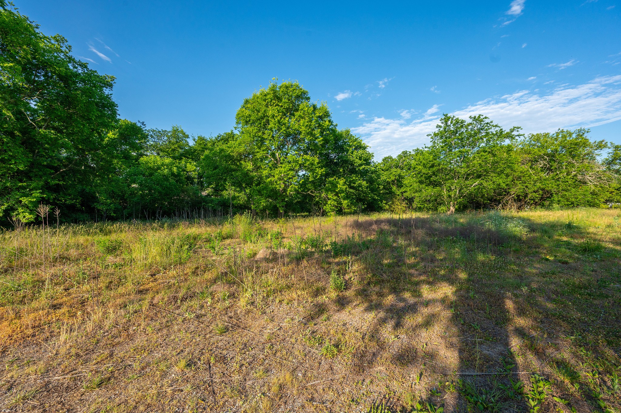 0 Vine Court Lebanon TN 37087