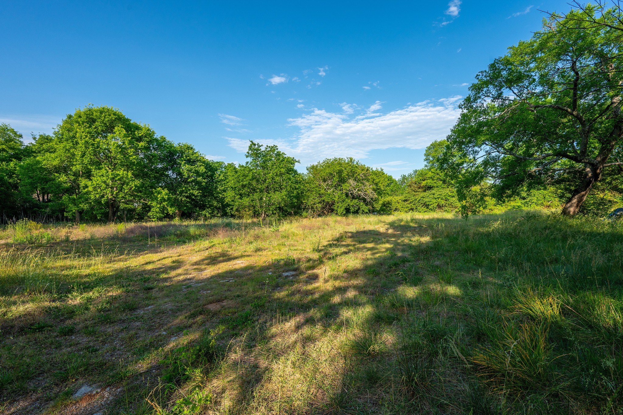 0 Vine Court Lebanon TN 37087