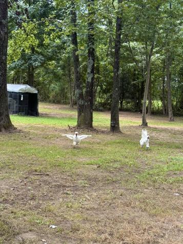 1030 Founders Lane Portland TN 37148