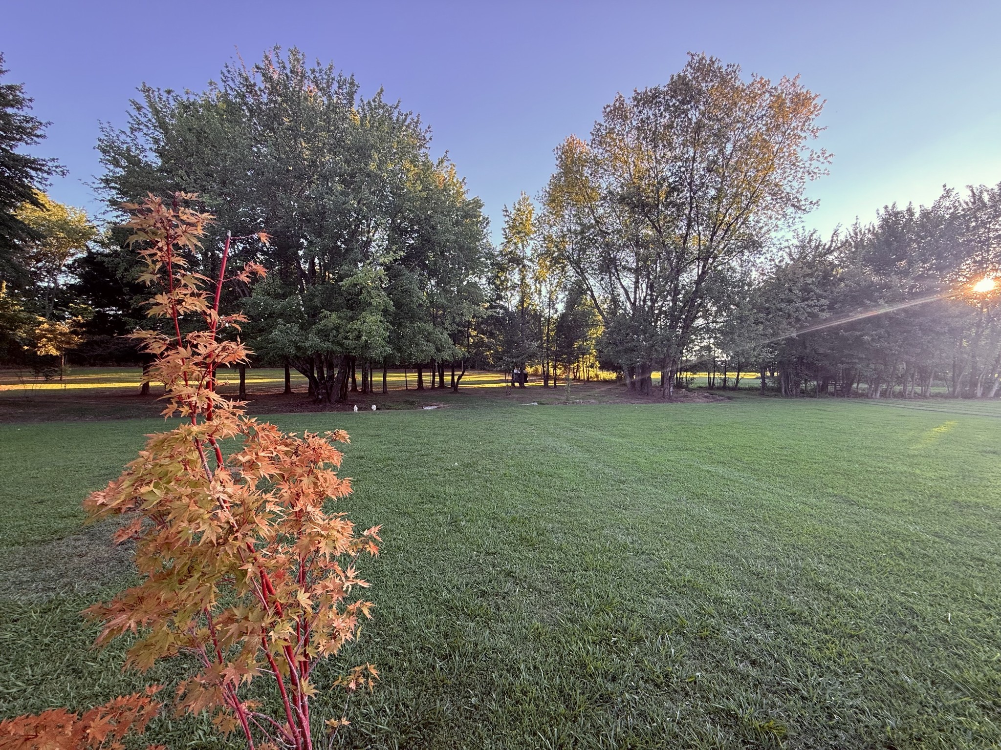 1030 Founders Lane Portland TN 37148