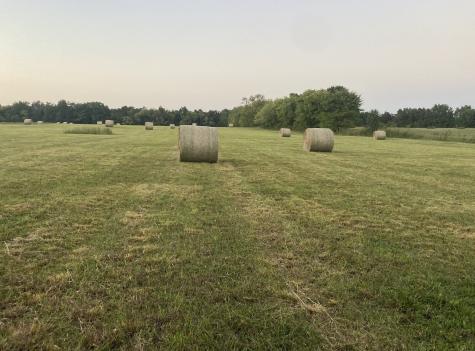 0 Old Jackson Ridge Road Rockvale TN 37153