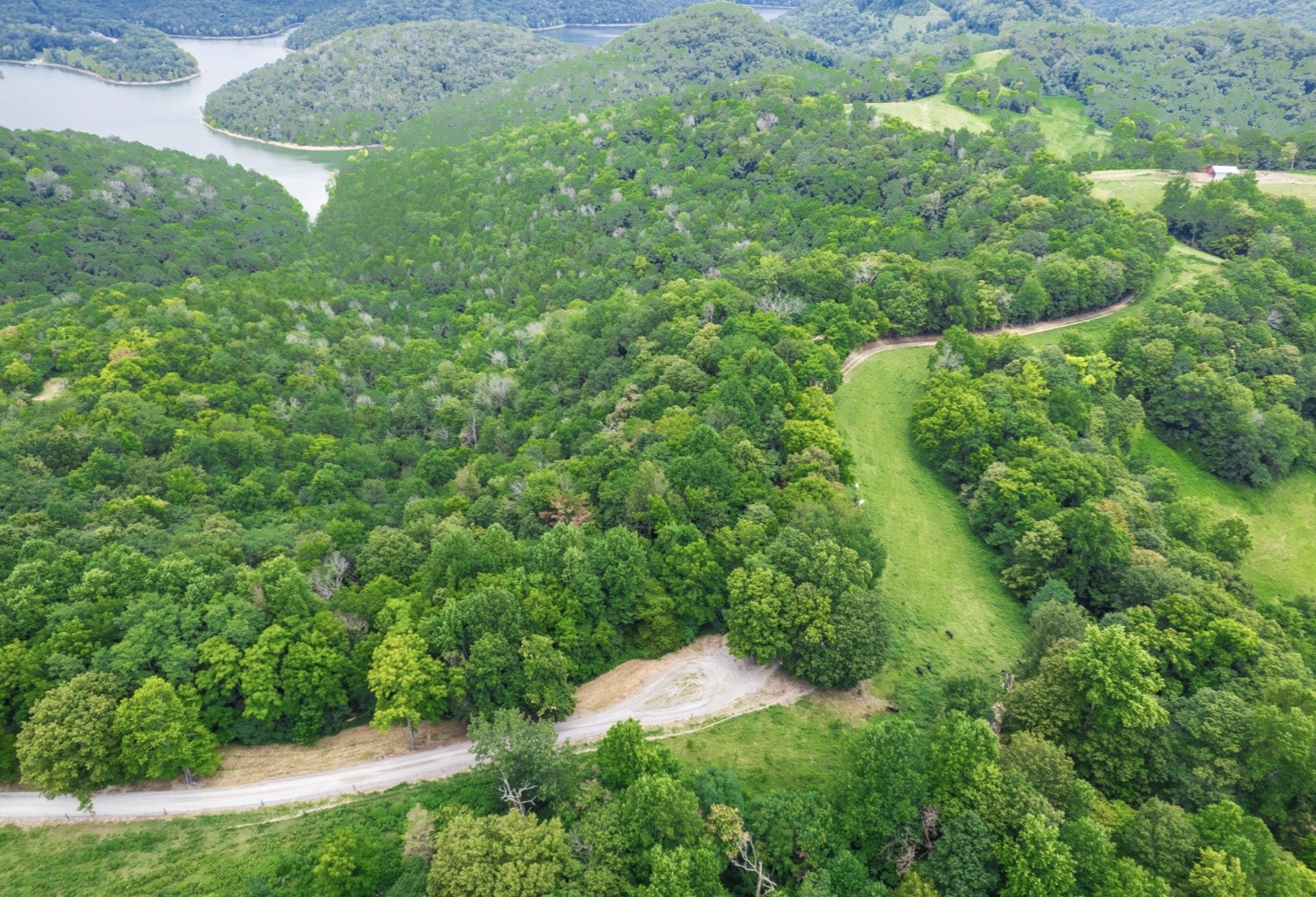 0 Hurricane Ridge Road Smithville TN 37166