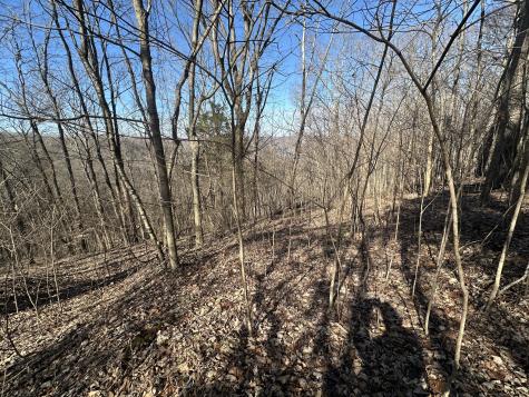 0 Hurricane Ridge Road Smithville TN 37166