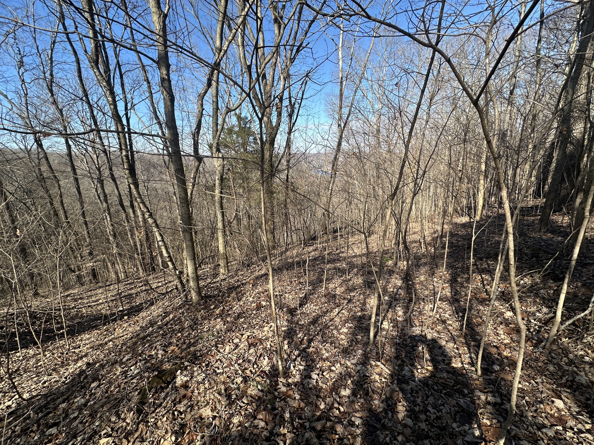 0 Hurricane Ridge Road Smithville TN 37166