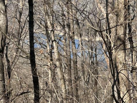 0 Hurricane Ridge Road Smithville TN 37166