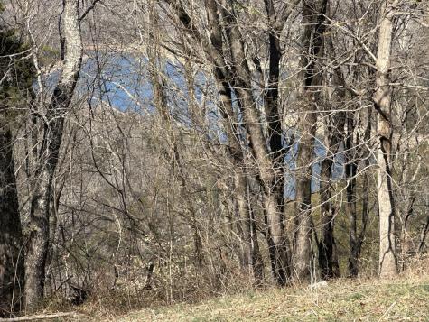 0 Hurricane Ridge Road Smithville TN 37166