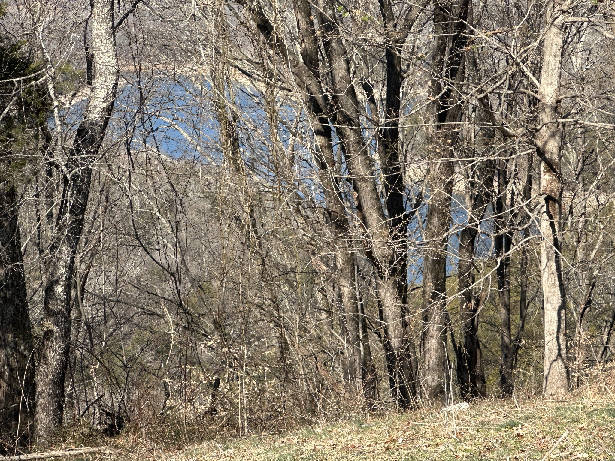 0 Hurricane Ridge Road Smithville TN 37166